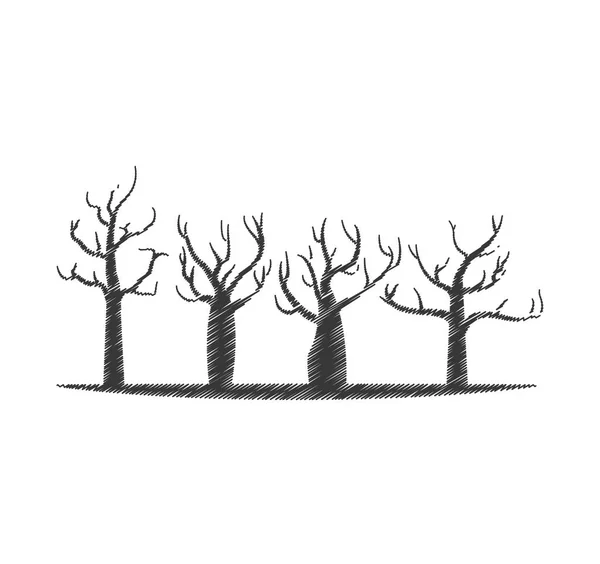 Ağaç orman şube el izole kutsal kişilerin resmi çizimi — Stok Vektör