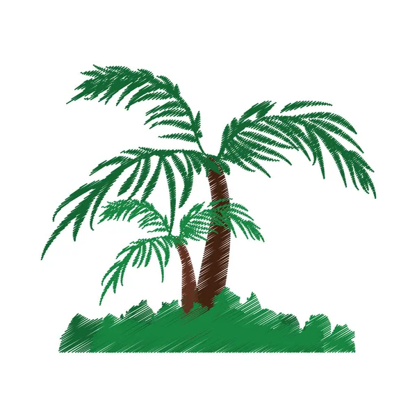 Boom palm tropische geïsoleerd pictogram — Stockvector