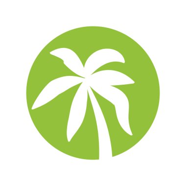 ağaç izole tropikal palmiye simgesi