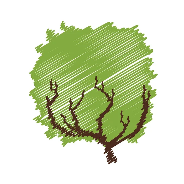 Copac plante mână desen pictogramă izolată — Vector de stoc