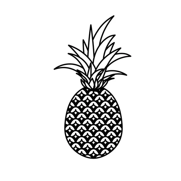 Delicioso icono aislado de fruta de piña — Archivo Imágenes Vectoriales