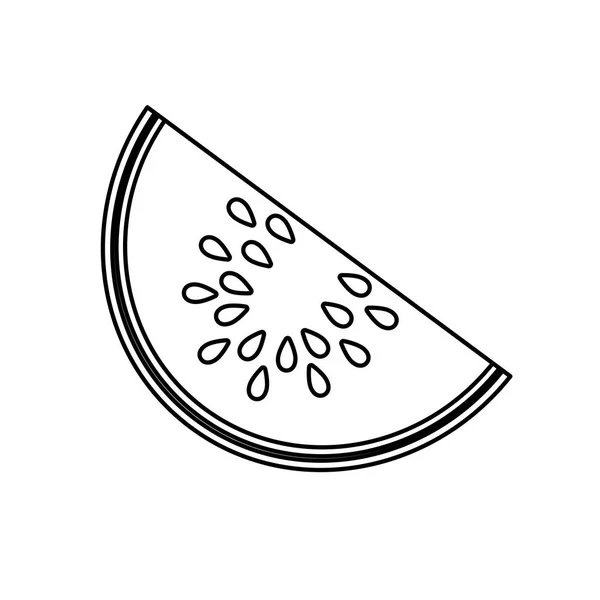 Delicioso ícone de melão isolado de frutas —  Vetores de Stock