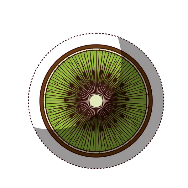 Delicioso kiwi fruta aislado icono — Archivo Imágenes Vectoriales