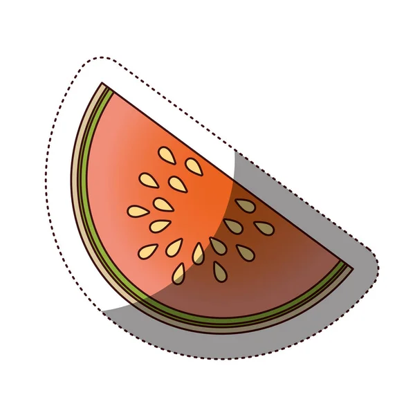 Delicious melon fruit isolated icon — Stock Vector