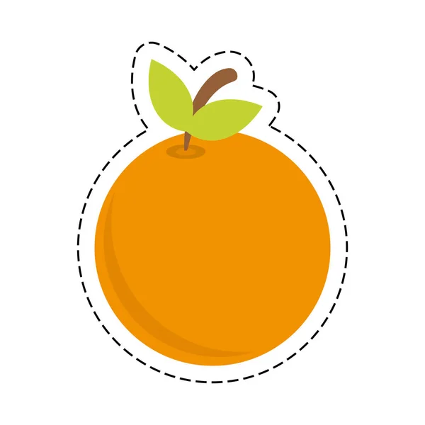 Läcker Orange frukt — Stock vektor