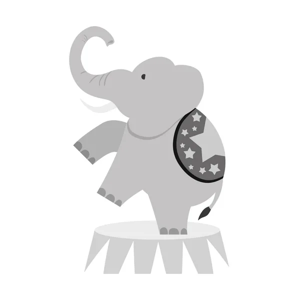 Цирковой слон — стоковый вектор