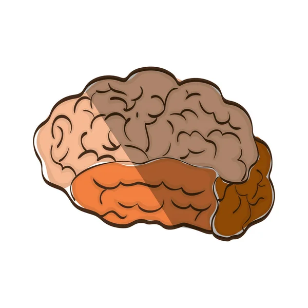 Mente cerebral humana — Vector de stock