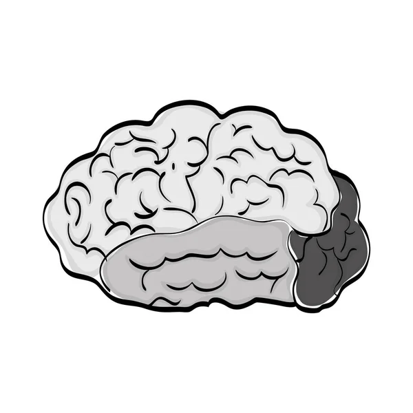 Mente cerebral humana — Archivo Imágenes Vectoriales