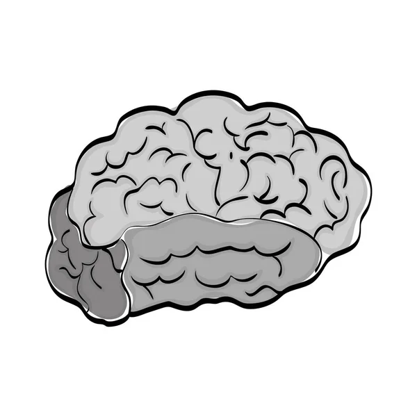 Mänskliga hjärnan sinne — Stock vektor