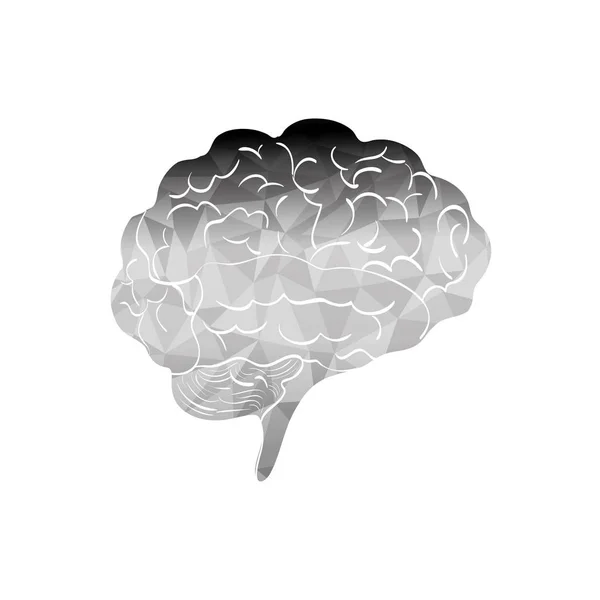 Mente cerebral humana — Vector de stock