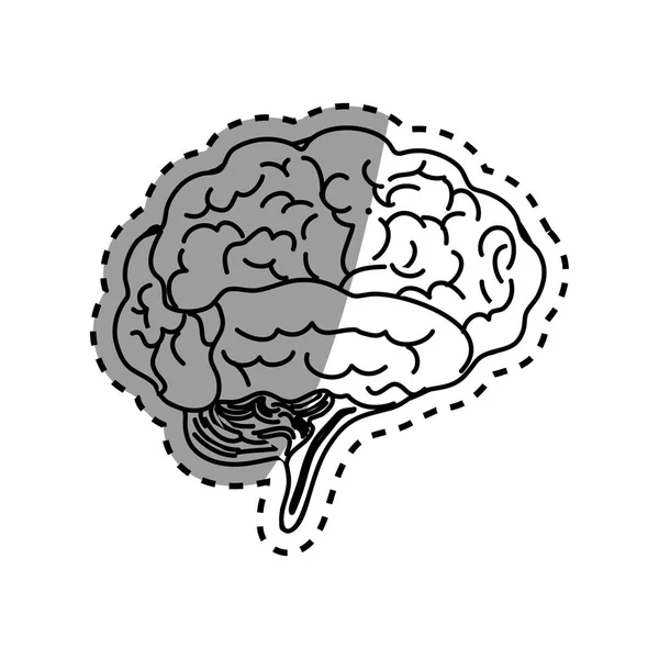 Cerveau humain esprit — Image vectorielle