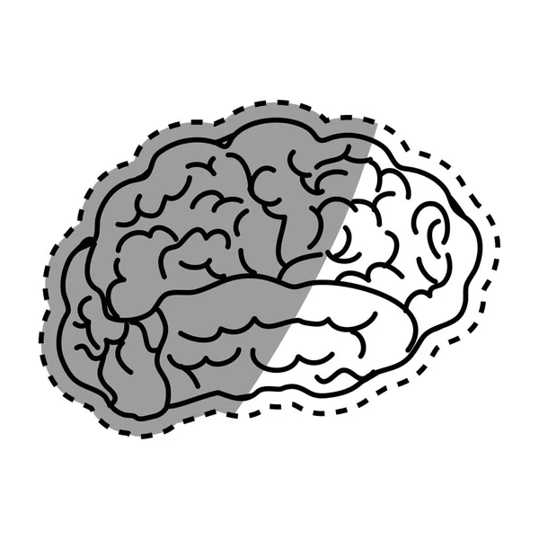 Mente cerebral humana — Archivo Imágenes Vectoriales