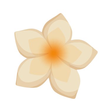 güzel doğal çiçek