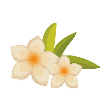 güzel doğal çiçek