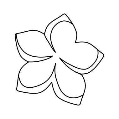 güzel doğal çiçek