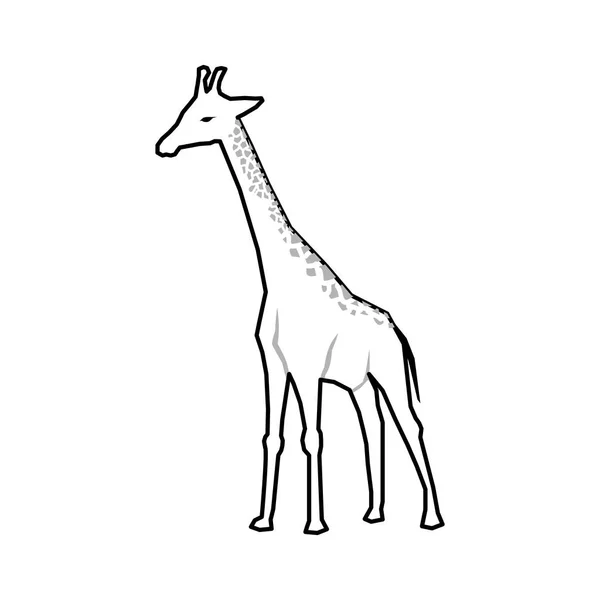 Jirafa animal africano — Vector de stock