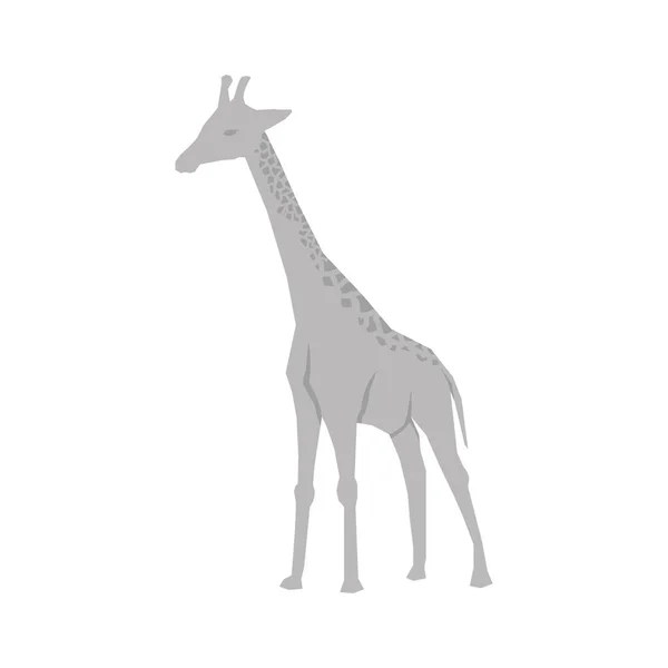 Girafa animal africano —  Vetores de Stock