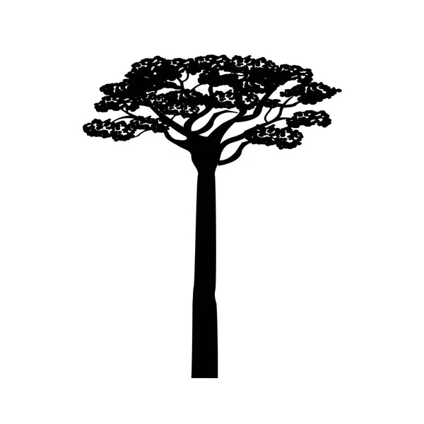 Árbol de acacia de África — Archivo Imágenes Vectoriales