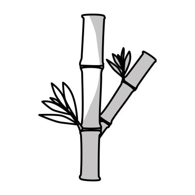 doğal spa merkezi tasarım