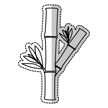 doğal spa merkezi tasarım