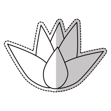 Nilüfer çiçeği simgesi