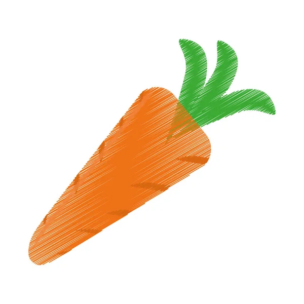 Egyetlen sárgarépa ikon kép — Stock Vector
