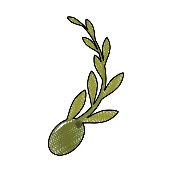 Imagem de ícone de oliva e ramo —  Vetores de Stock
