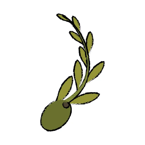 Immagine icona oliva e ramo — Vettoriale Stock