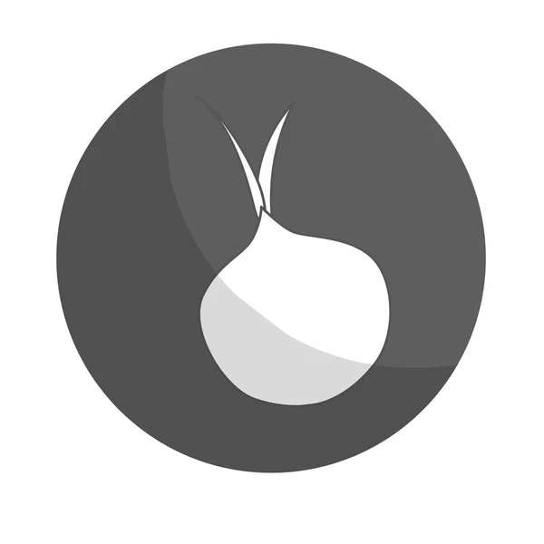 Onion Vegetable icon — Stock Vector