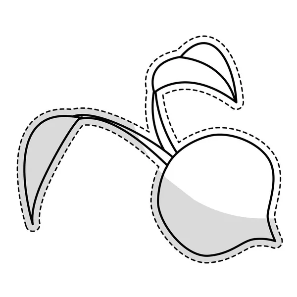 ไอคอนผักบีทรูท — ภาพเวกเตอร์สต็อก