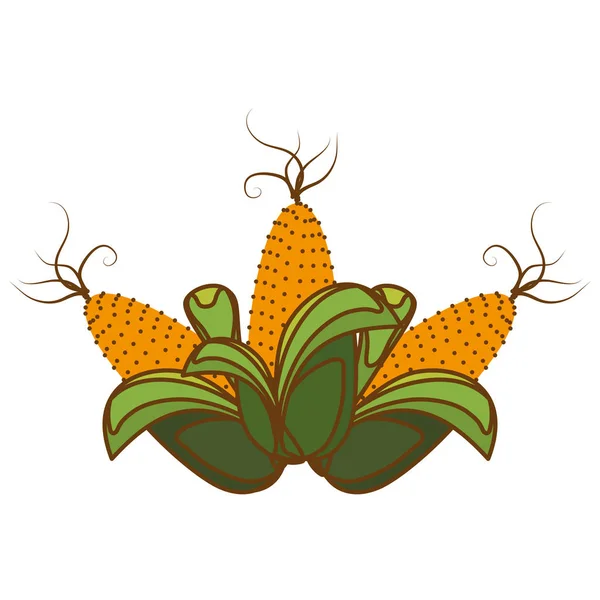 Mais-Gemüse-Symbol — Stockvektor