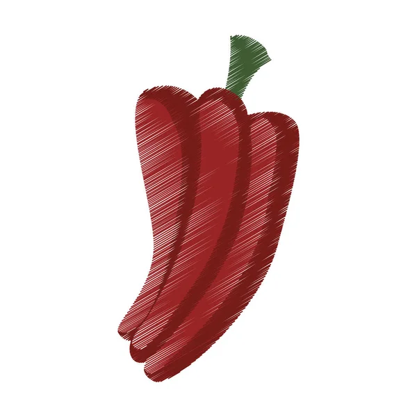 Paprika-Gemüse-Symbol — Stockvektor