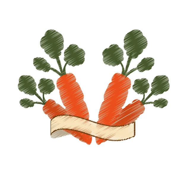 Carrot vegetable icon — Stock Vector