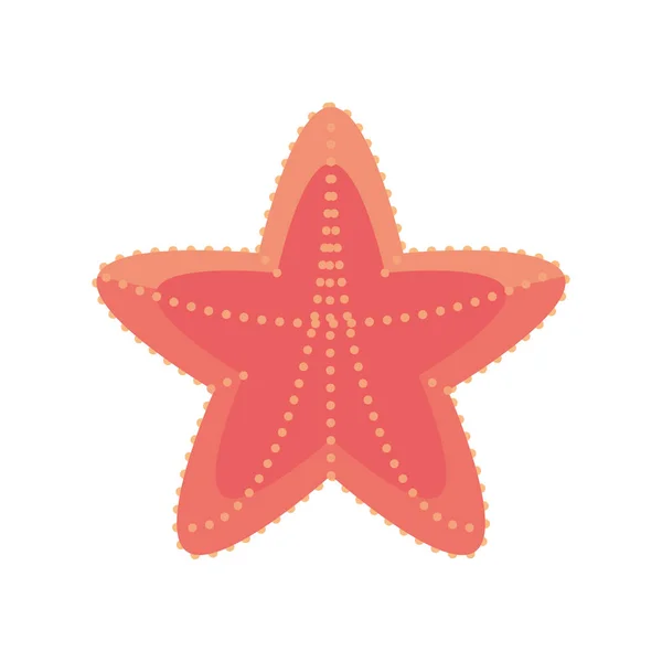 Морской морской звездой праздник знак пляжа — стоковый вектор