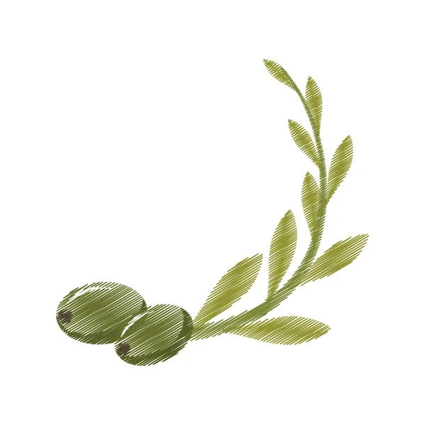 Dibujo rama árbol olivo gráfico — Vector de stock