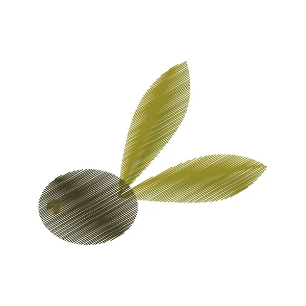 Disegno ulivo con albero foglie — Vettoriale Stock