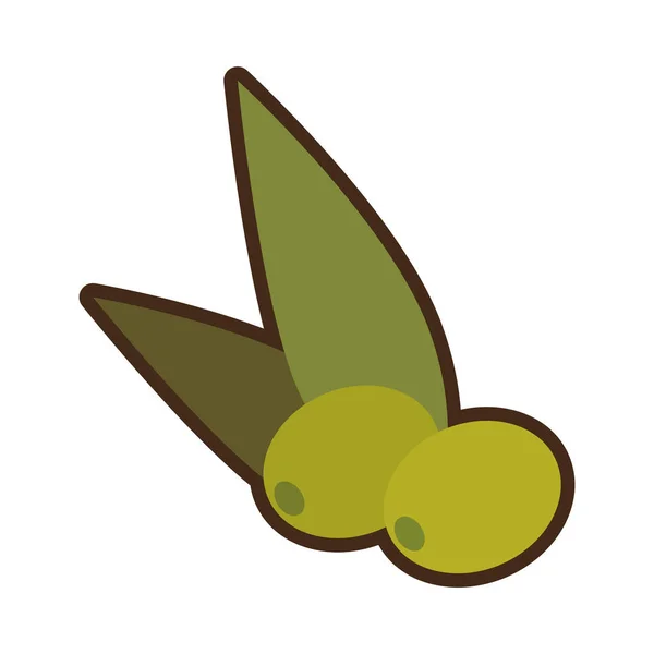 Karikatura zelenou větev olivovníku znamení — Stockový vektor