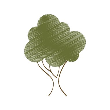 Ağaç doğal ekoloji