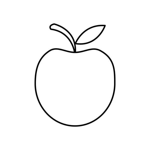 Delicious apple fruit — Stock Vector