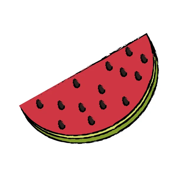 Frische Wassermelonenfrüchte — Stockvektor