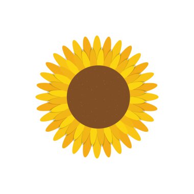 Güzel çiçek Bahçe