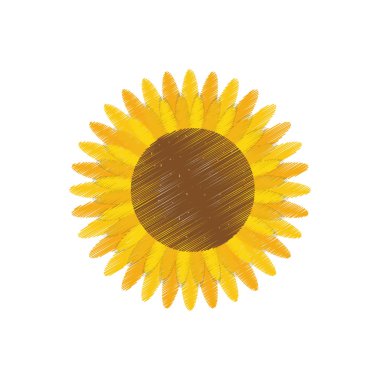 Güzel çiçek Bahçe