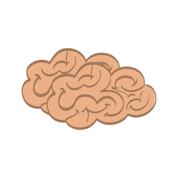 人类的大脑思维 — 图库矢量图片