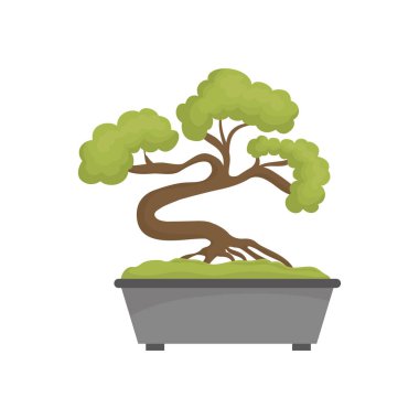 Bonsai Japon ağacı