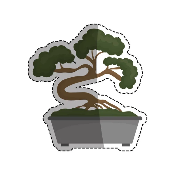 Bonsai árbol japonés — Vector de stock