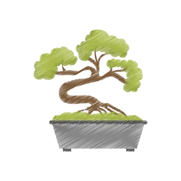 Bonsai pohon Jepun - Stok Vektor