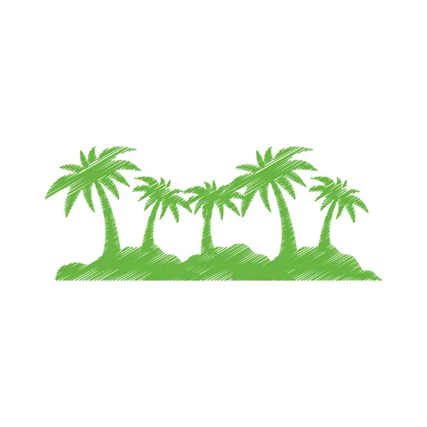 島のヤシの木 — ストックベクタ