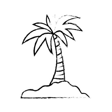 Adası palmiye ağacı