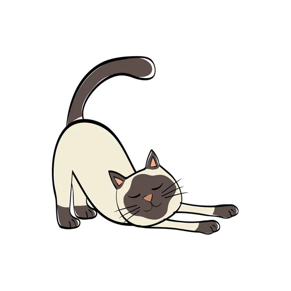 Dessin animé mignon chat — Image vectorielle