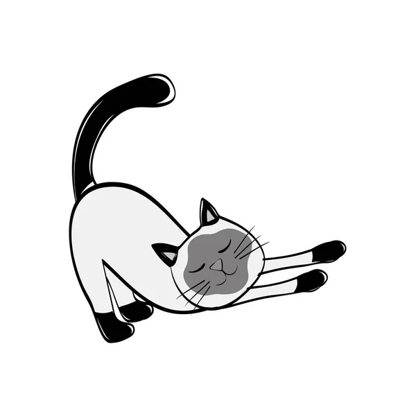 Dessin animé mignon chat — Image vectorielle